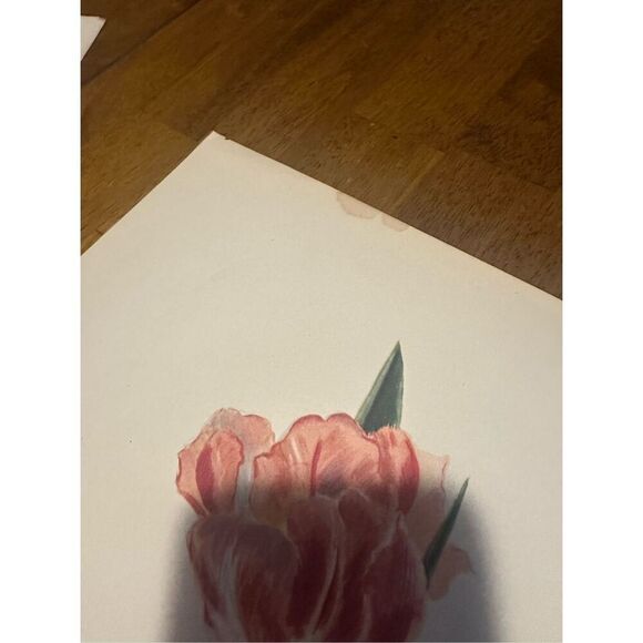 Flowers Drawn by Arlette Davids Text by Princess Bibesco prints Tulips 10x14” - Picture 9 of 9